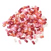 Glass 2-Hole Baking Paint Glass Seed Beads GLAA-G130-01B-2