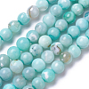 Natural Dyed Agate Imitation Turquoise Beads Strands G-P425-02A-6mm-2