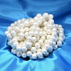 Oval Shell Pearl Bead Strands BSHE-L013-S-A013A-2