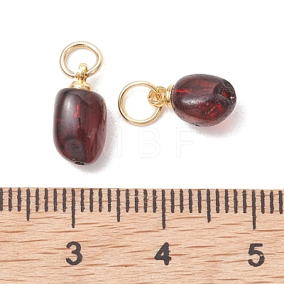 Natural Amber Pendants PALLOY-JF05375-01-1