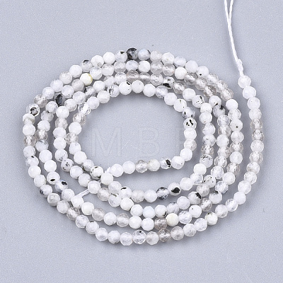 Natural Rainbow Moonstone Beads Strands G-T108-42-1