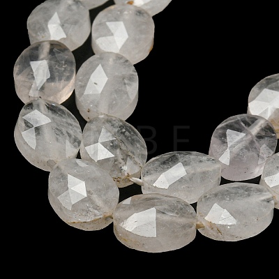 Natural Quartz Crystal Beads Strands G-P544-D01-01-1