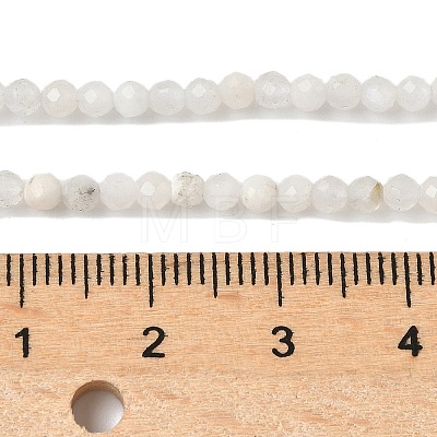 Natural Moonstone Beads Strands X-G-C201-B06-3mm-1