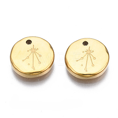 316 Surgical Stainless Steel Charms STAS-S116-418K-G-1