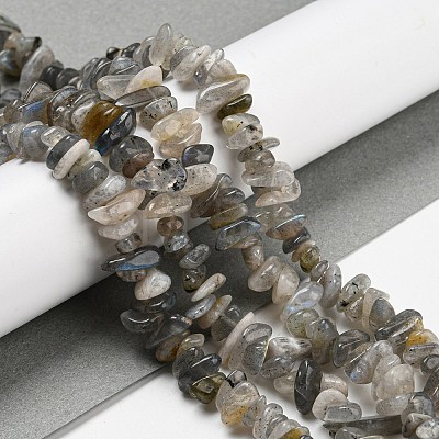 Natural Labradorite Beads Strands G-P332-23-1
