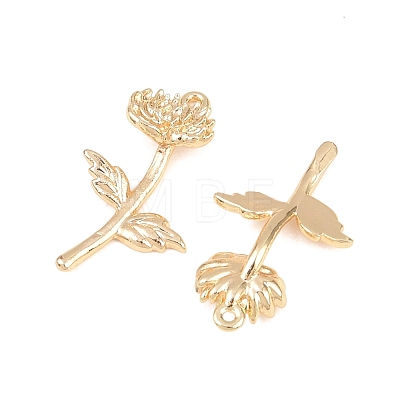 Brass Pendants KK-A288-01G-11-1