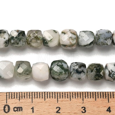 Natural Tree Agate Beads Strands G-H078-C06-01-1