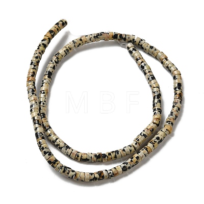 Natural Dalmatian Jasper Beads Strands G-E612-A01-B-1