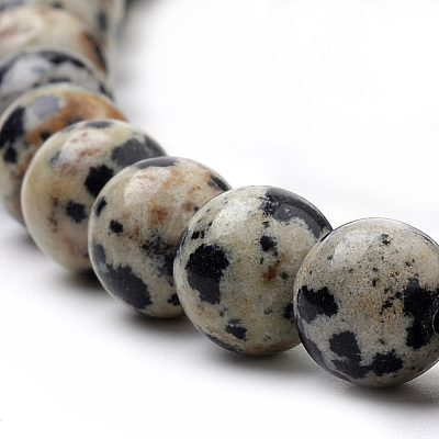 Natural Dalmatian Jasper Beads Strands G-S259-24-12mm-1