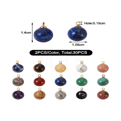 Yilisi 30Pcs 15 Colors Natural Gemstone Charms G-YS0001-01-1