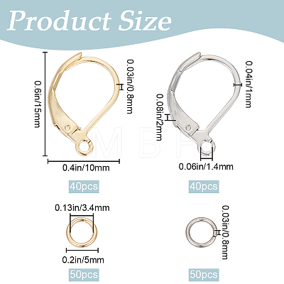 80Pcs 2 Color 304 Stainless Steel Leverback Earring Findings STAS-SP0001-14-1