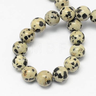 Natural Dalmatian Jasper Stone Bead Strands G-R193-14-4mm-1