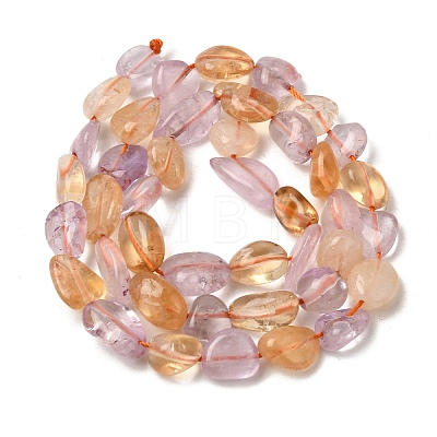Natural Amethyst and Citrine Beads Strands X-G-D0002-D77-1