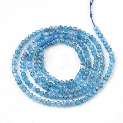 Natural Apatite Beads Strands G-T064-17-3mm-1