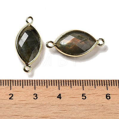 Natural Labradorite Faceted Connector Charms G-K347-03G-04-1