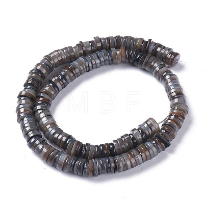 Natural Freshwater Shell Beads Strands X-BSHE-I016-04A-1
