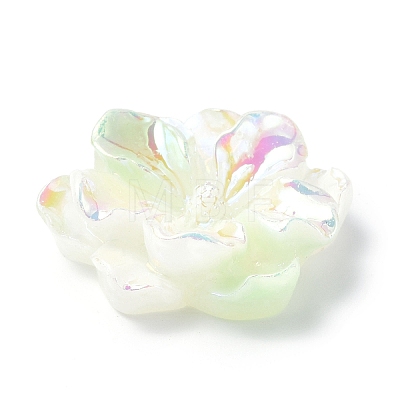 Luminous Resin Cabochons LS-RESI-E033-02D-1