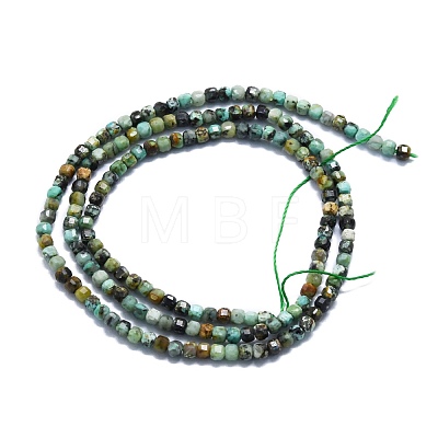 Natural African Turquoise(Jasper) Beads Strands G-P457-B01-43-1