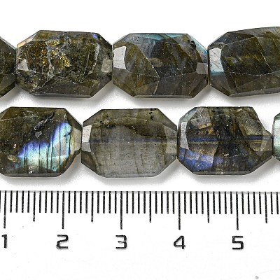 Natural Labradorite Beads Strands G-P544-B08-01-1