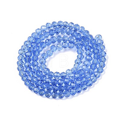 Glass Beads Strands EGLA-A044-T4mm-D14-1