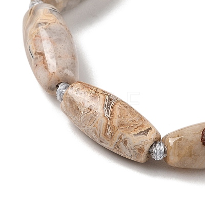 Natural Mexican Lace Agate Beads Strands G-NH0010-I03-01-1