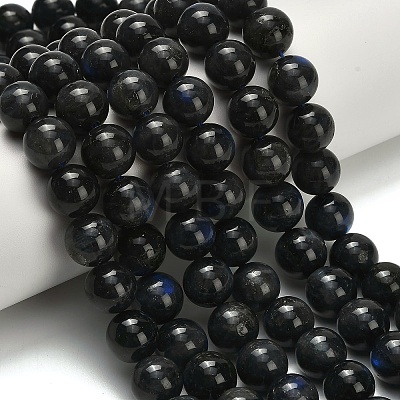 Natural Black Labradorite Beads Strands G-L642-B15-12mm-1