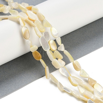 Natural Shell Pearl Beads Strands BSHE-H109-05-1