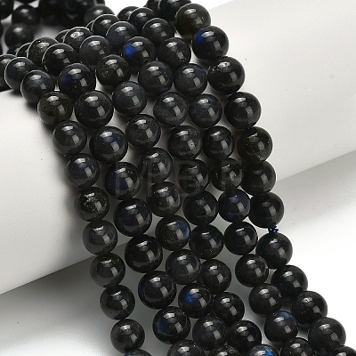 Natural Black Labradorite Beads Strands G-L642-B15-8mm-1