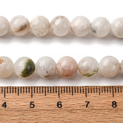 Natural White Moonstone Beads Strands LS-G-I388-01-8mm-1