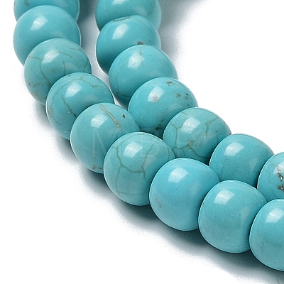 Natural Howlite Beads Strands G-E604-F01-1