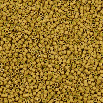 MIYUKI Delica Beads X-SEED-J020-DB0665-1