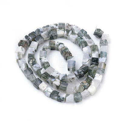Natural Tree Agate Beads Strands X-G-R451-02-1