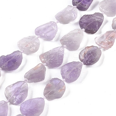 Natural Ametrine Beads Strands G-Q164-E02-01-1