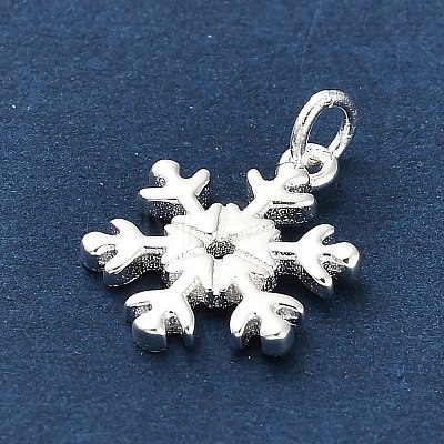 925 Sterling Silver Pendants LS-FIND-Z069-04S-B-1