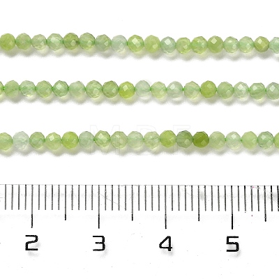 Natural Xiuyan Jade Beads Strands G-Z074-A04-01-1