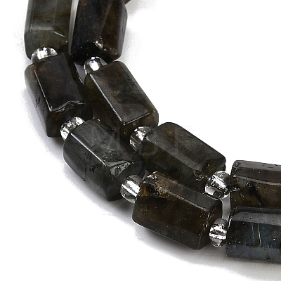 Natural Labradorite Beads Strands G-G162-D13-01-1