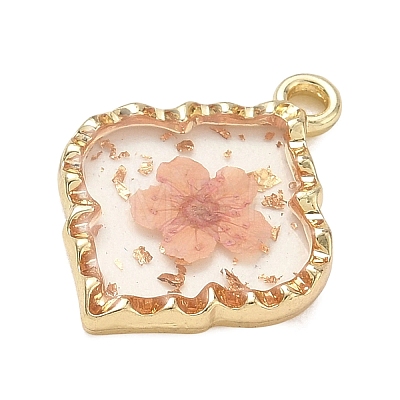 Alloy Epoxy Resin Pendants AL-Z001-08G-04-1