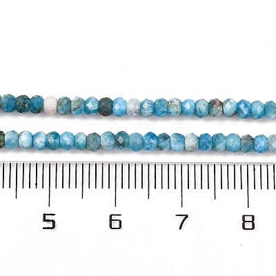 Natural Apatite Beads Strands G-F770-D09-02A-1