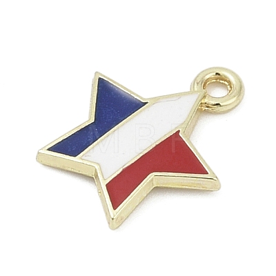 Independence Day Alloy Enamel Charms PALLOY-V001-07A-1