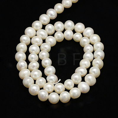 Natural Cultured Freshwater Pearl Beads Strands X-PEAR-L001-C-13-1