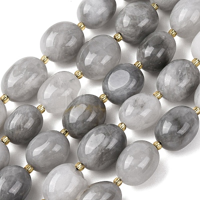 Natural Cloudy Quartz Beads Strands G-G453-D08-01-1