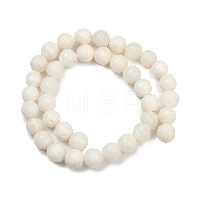 Natural White Shell Beads Strands BSHE-U002-01-1