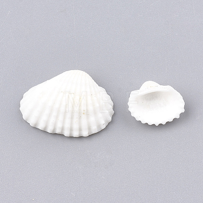 Spiral Shell Beads SSHEL-S251-09-1