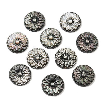 Natural Black Lip Shell Carved Cabochons SSHEL-B006-01B-B-1