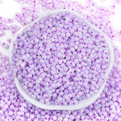 Lustered Glass Seed Beads X1-SEED-K010-04A-1