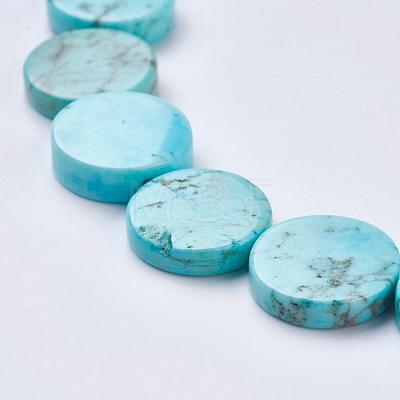 Natural Magnesite Beads Strands TURQ-K003-16-1