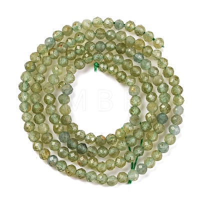 Natural Green Apatite Beads Strands G-F770-C03-02-1