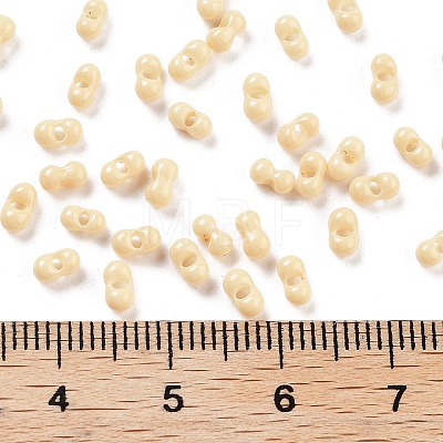 Baking Paint Glass Seed Beads X1-SEED-A033-05G-1