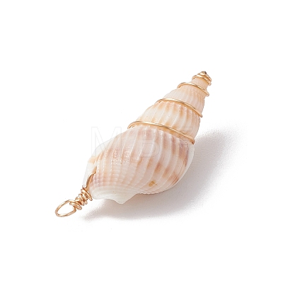 3Pcs Natural Shell Pendants PALLOY-JF03226-03-1