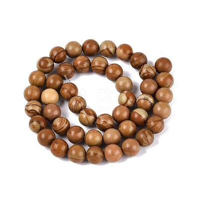 Natural Wooden Jasper/Wood Lace Stone Beads Strands G-Q601-13A-04-1